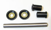 AAK003 Front A-Arm Bearing & Seal Kit