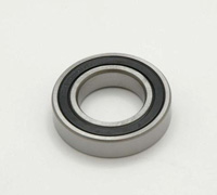 XBG137 Bearing