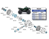 BK2009 Yamaha Rear Differential Kit