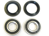 BK2017 Bearing and Seal Kit