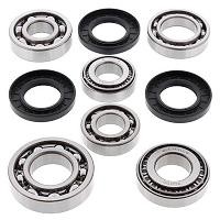 BK2018 Yamaha Rear Differential Bearing and Seal Kit