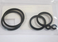 XBR055 Polaris Rear Caliper Seal Kit