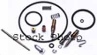 XCR233 Yamaha Raptor Carburetor Rebuild Kit