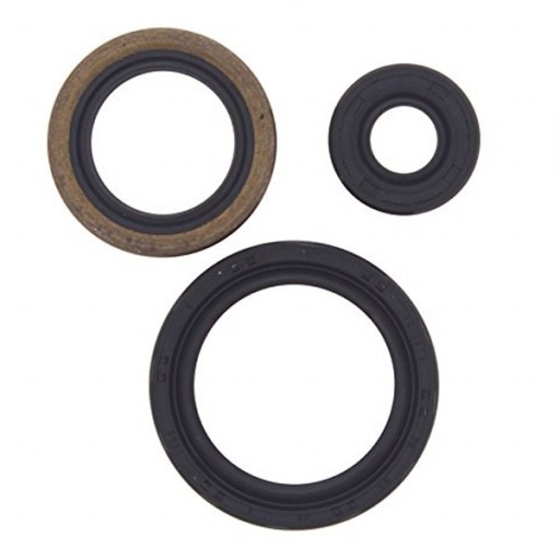 XOS504 Polaris Oil Seal Kit